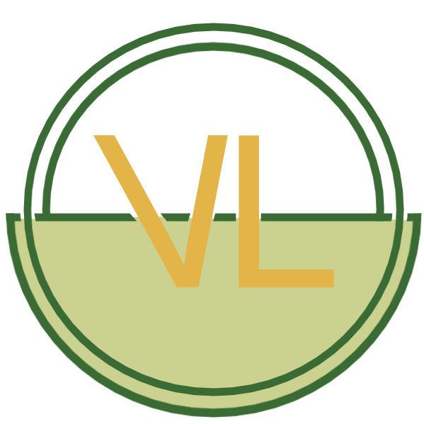 Logo de VLDev - Développement web, mobile & applicatif sur mesure
